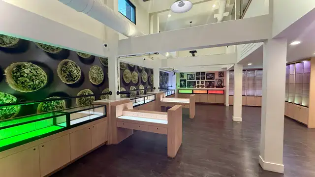 View image 4