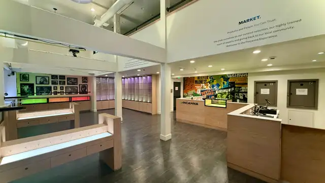 View image 12