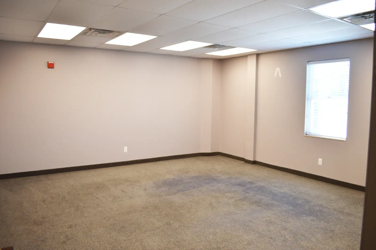 8300 Hall image 4