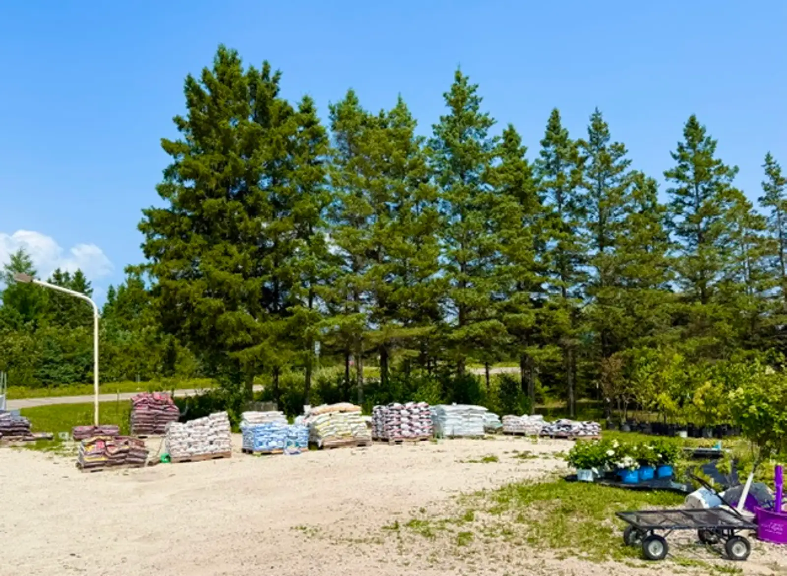 9707 M-48 image 7