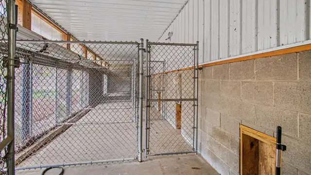 000 Kennel Drive thumbnail 5