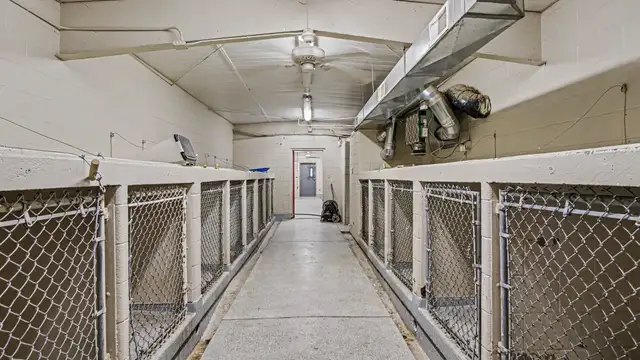 000 Kennel Drive thumbnail 2