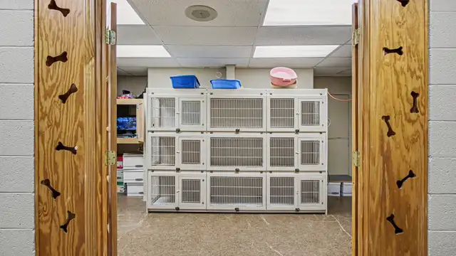 View image 8
