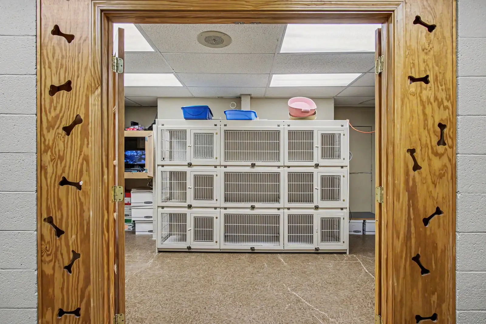 000 Kennel Drive image 8