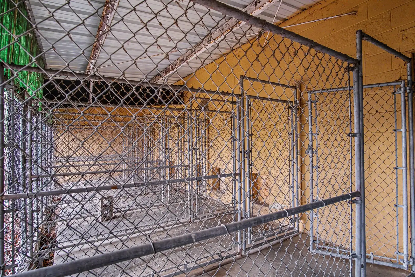 000 Kennel Drive image 6