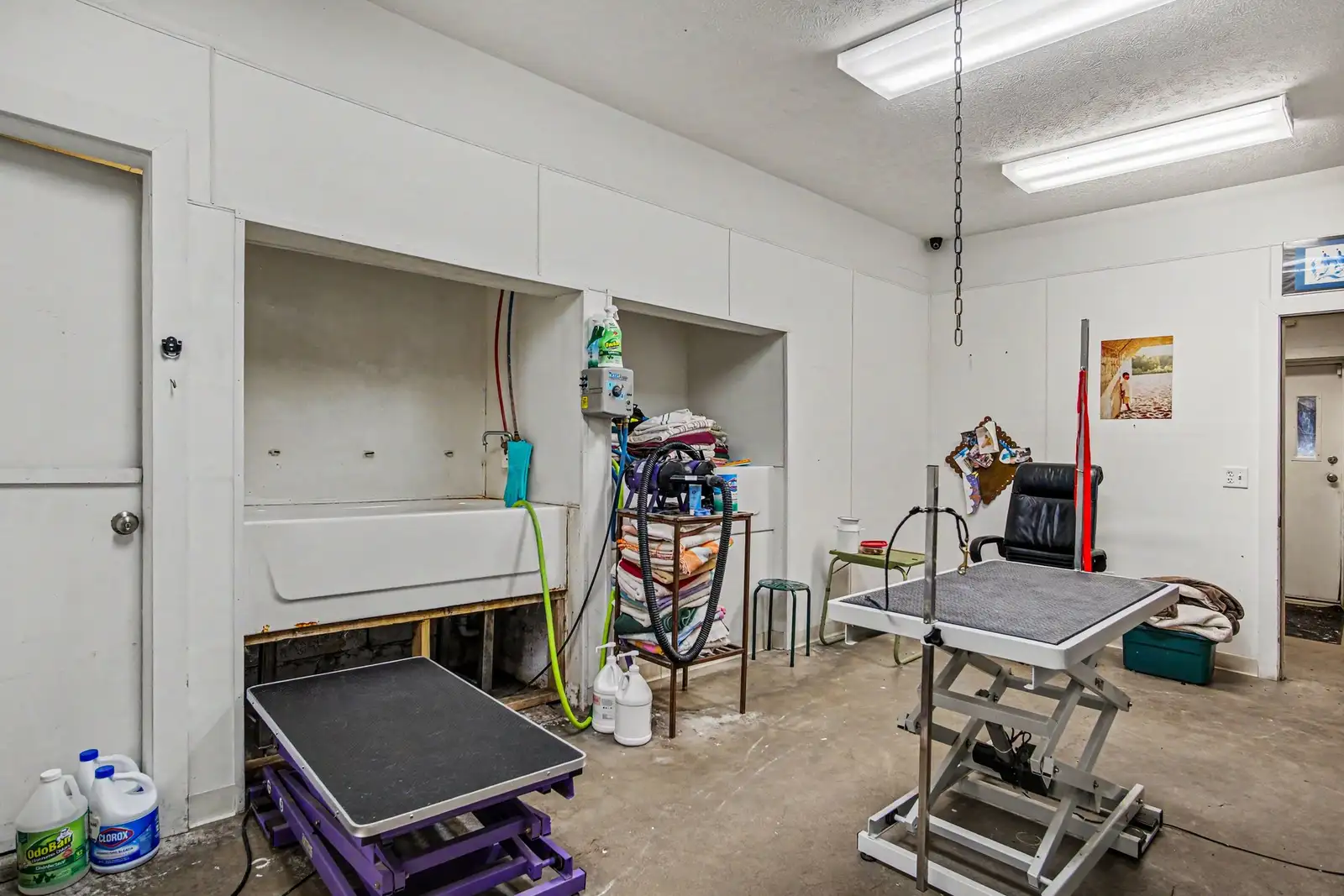 000 Kennel Drive image 10