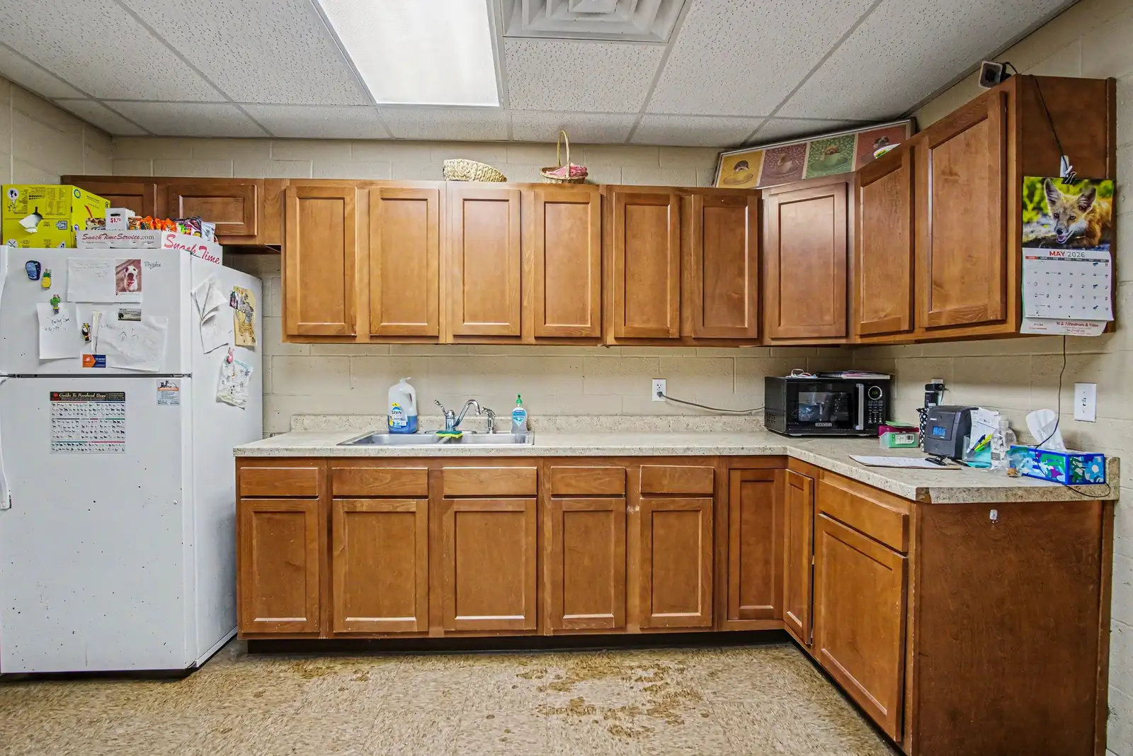 000 Kennel Drive image 7