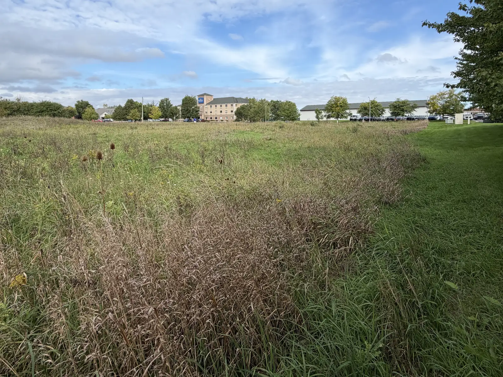1515 Commerce Park Dr image 6