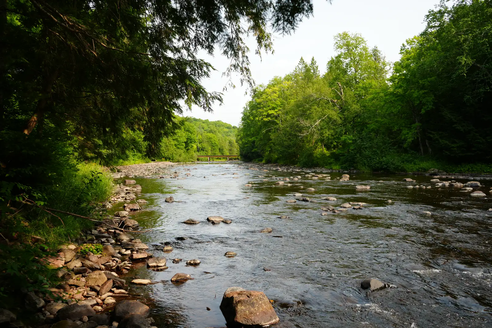 Presque Isle River Frontage