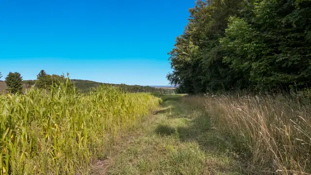 View image 10