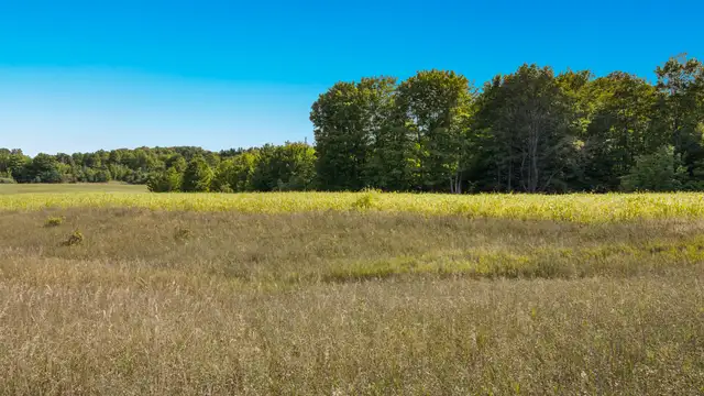 View image 11