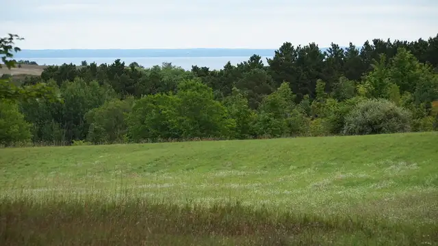View image 7