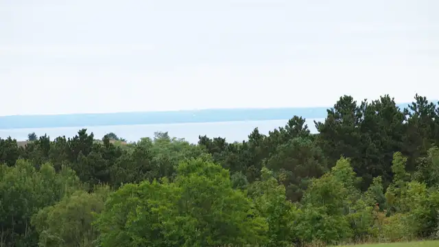 View image 8