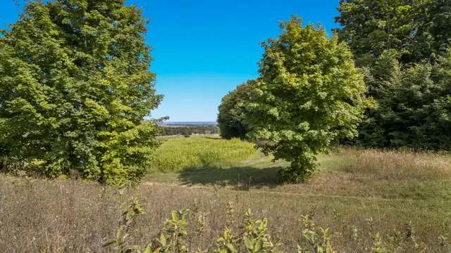 View image 9
