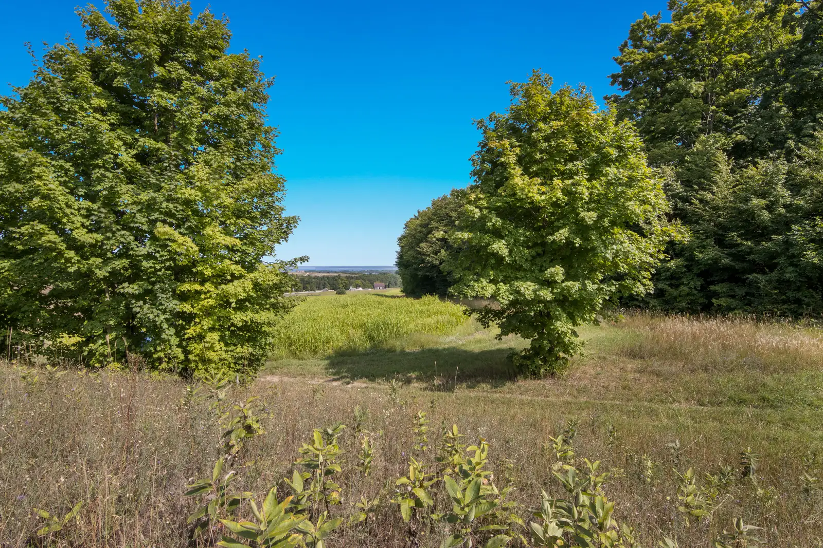 Parcel B image 9
