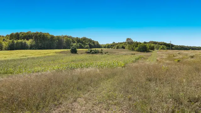 View image 12