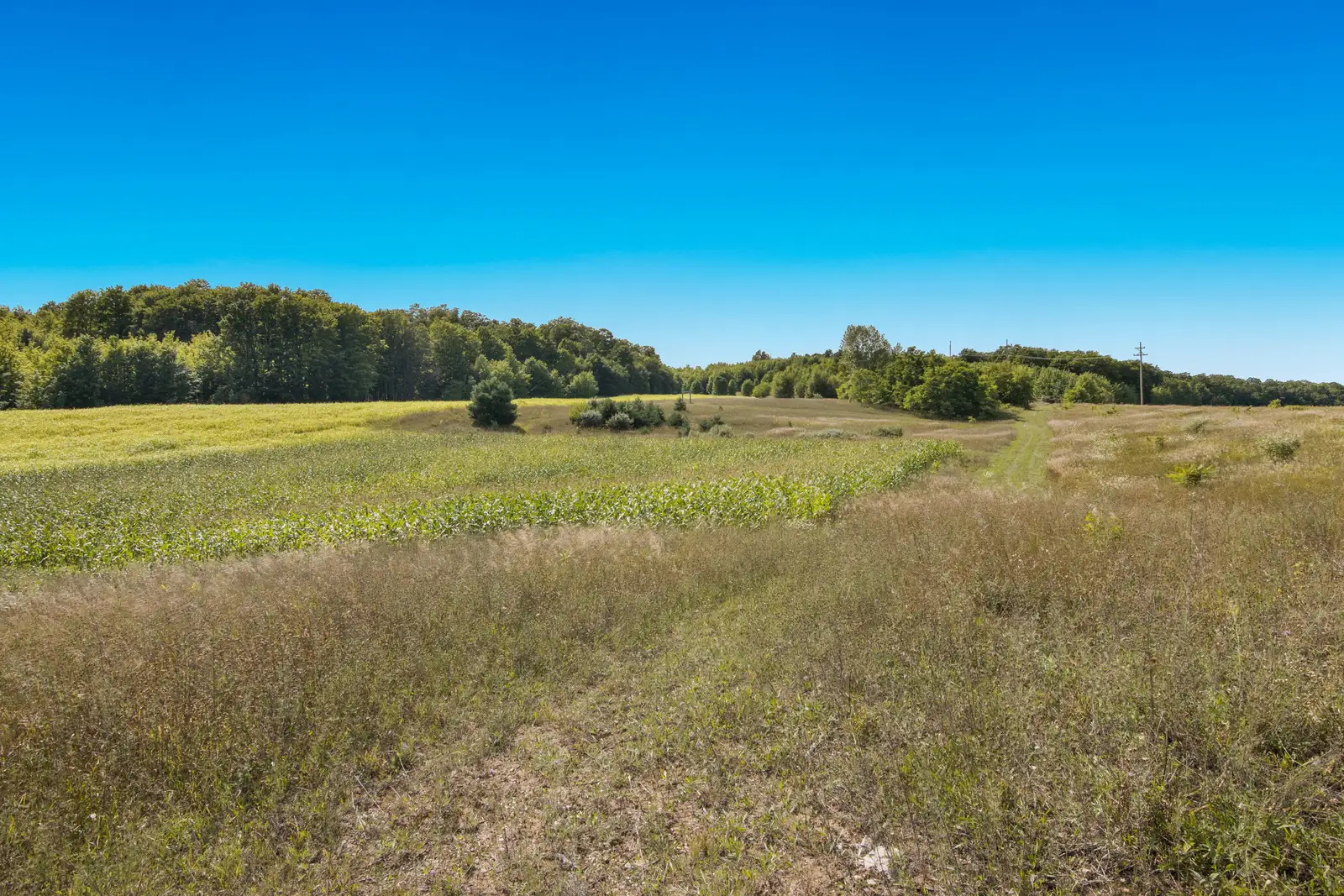 Parcel B image 12