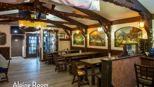 Unique Opportunity -Lease Operating Landmark Downtown Ann Arbor Restaurant / Bar thumbnail 2