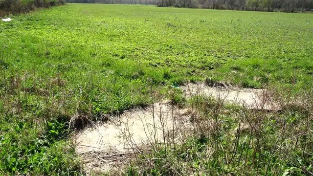 24.18 Acres Gratiot thumbnail 4