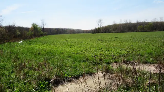 24.18 Acres Gratiot thumbnail 3
