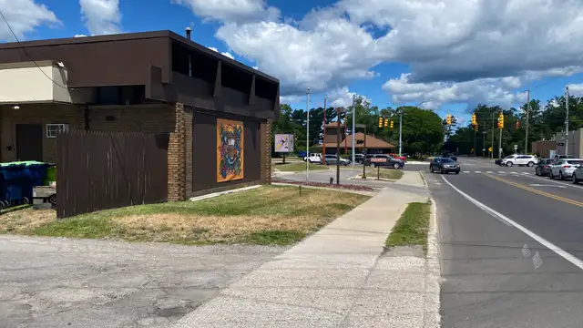 View image 11