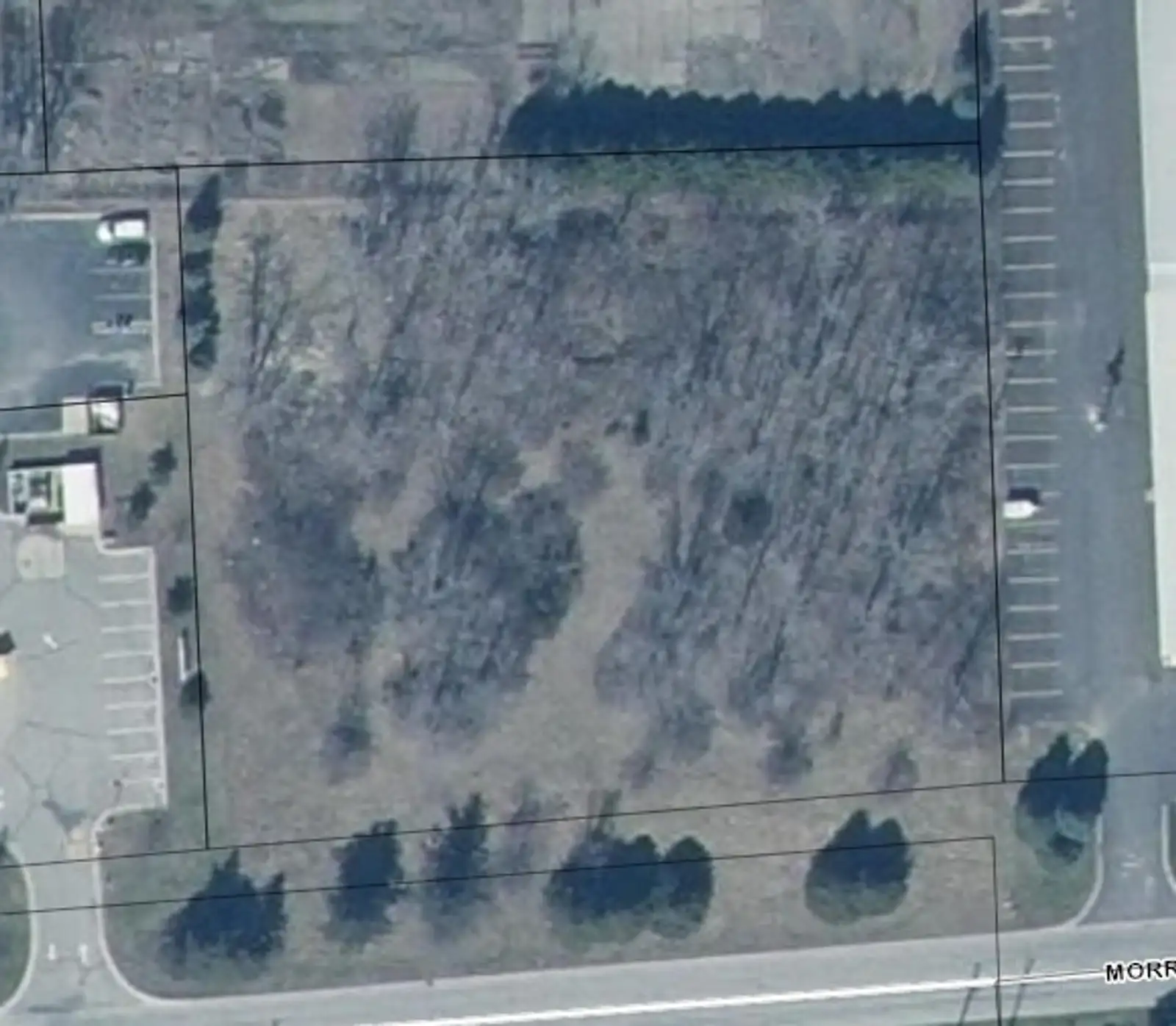 Morrice Blvd | Vacant Lot 1.52 Acres in Business Zone image 5
