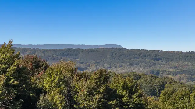 View image 14