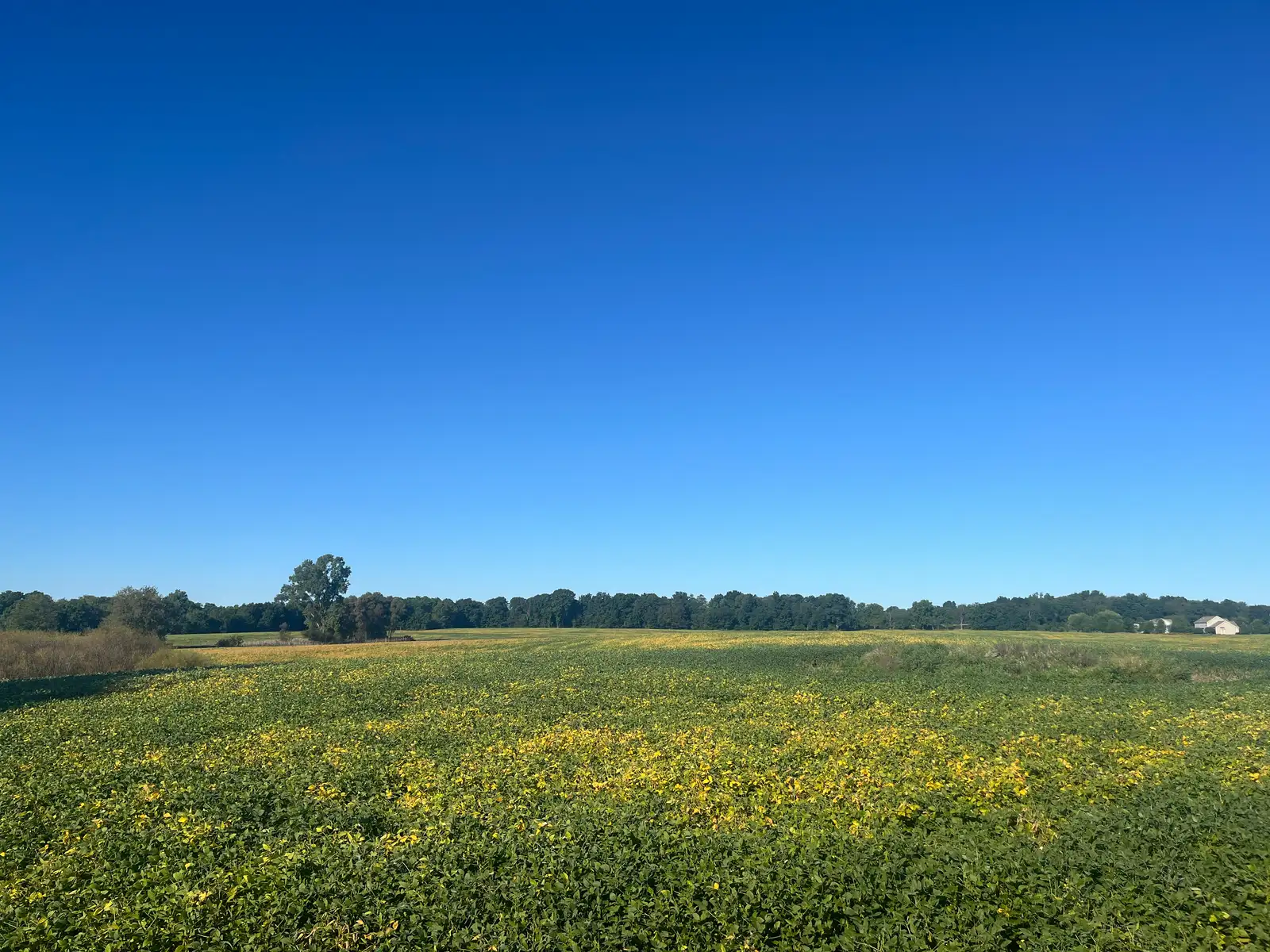 79 Acres Conservation Easement Land for Sale in Dexter