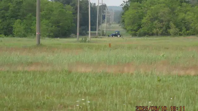 View image 11