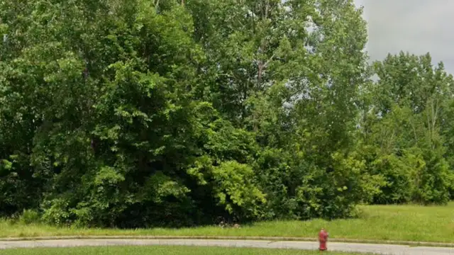 View image 4