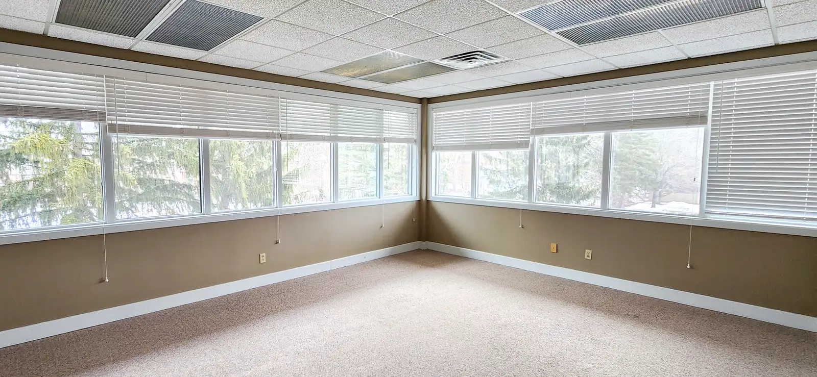 4572 Hagadorn image 7
