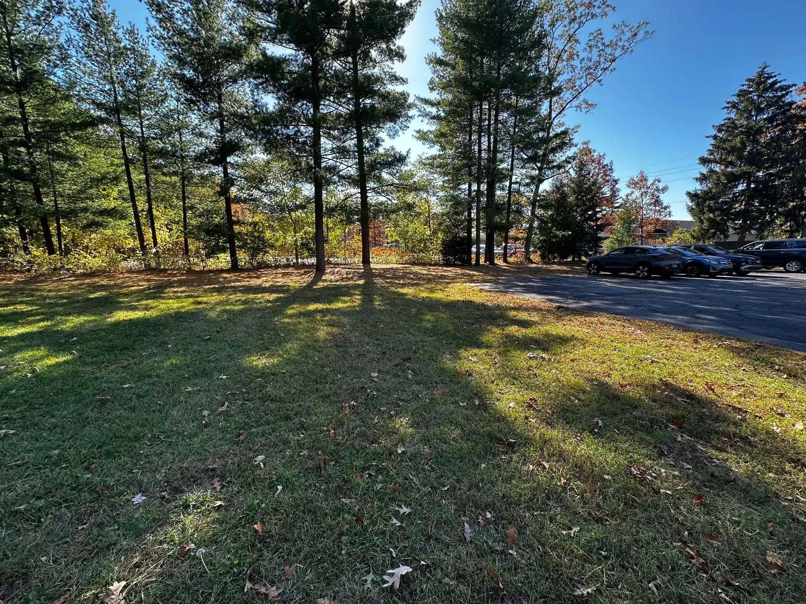 1753 Barlow St image 72