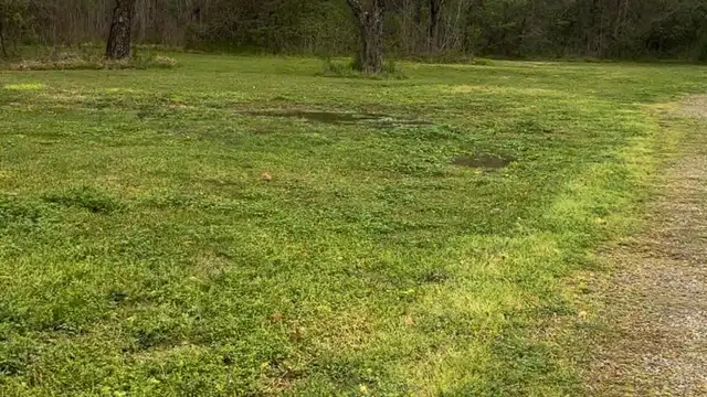 78 Acres off Hwy 23  in Belle Chasse thumbnail 4