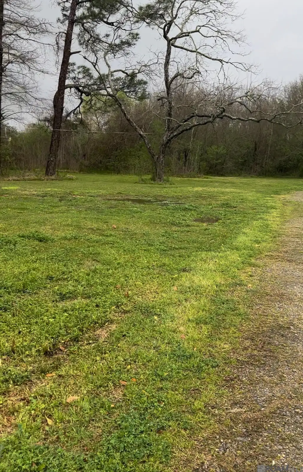 78 Acres off Hwy 23  in Belle Chasse image 4