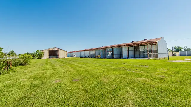 View image 10