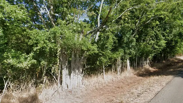 View image 3