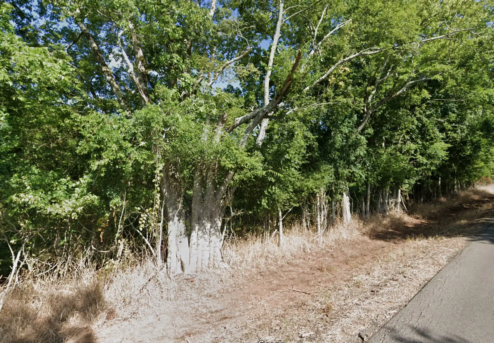 8.948 ac Vacant Land image 3