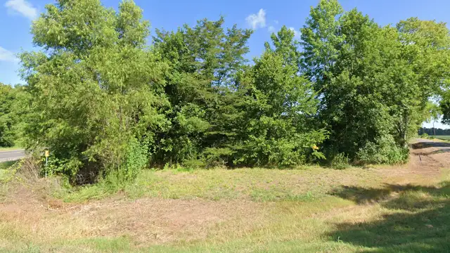 View image 4