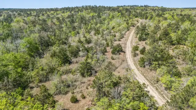 View image 13