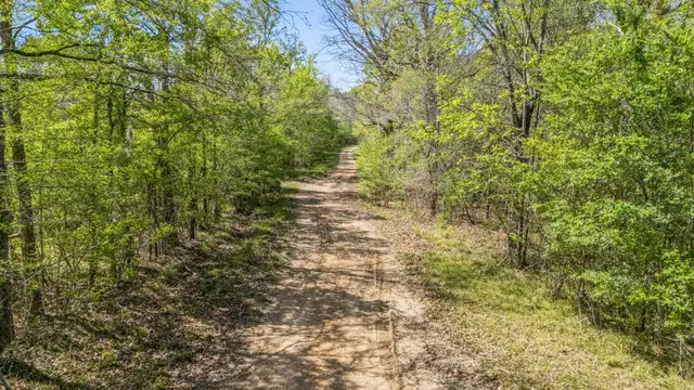 View image 15