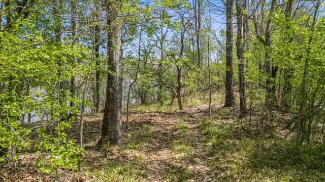 View image 16