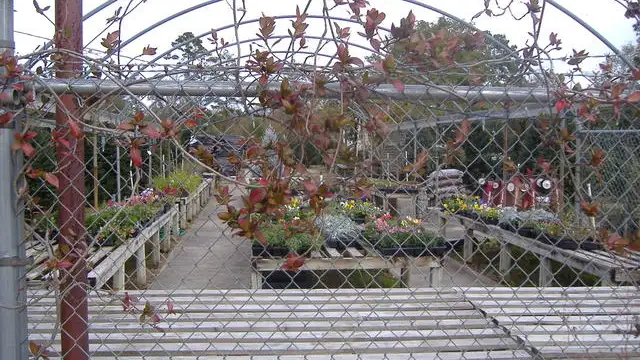 View image 3