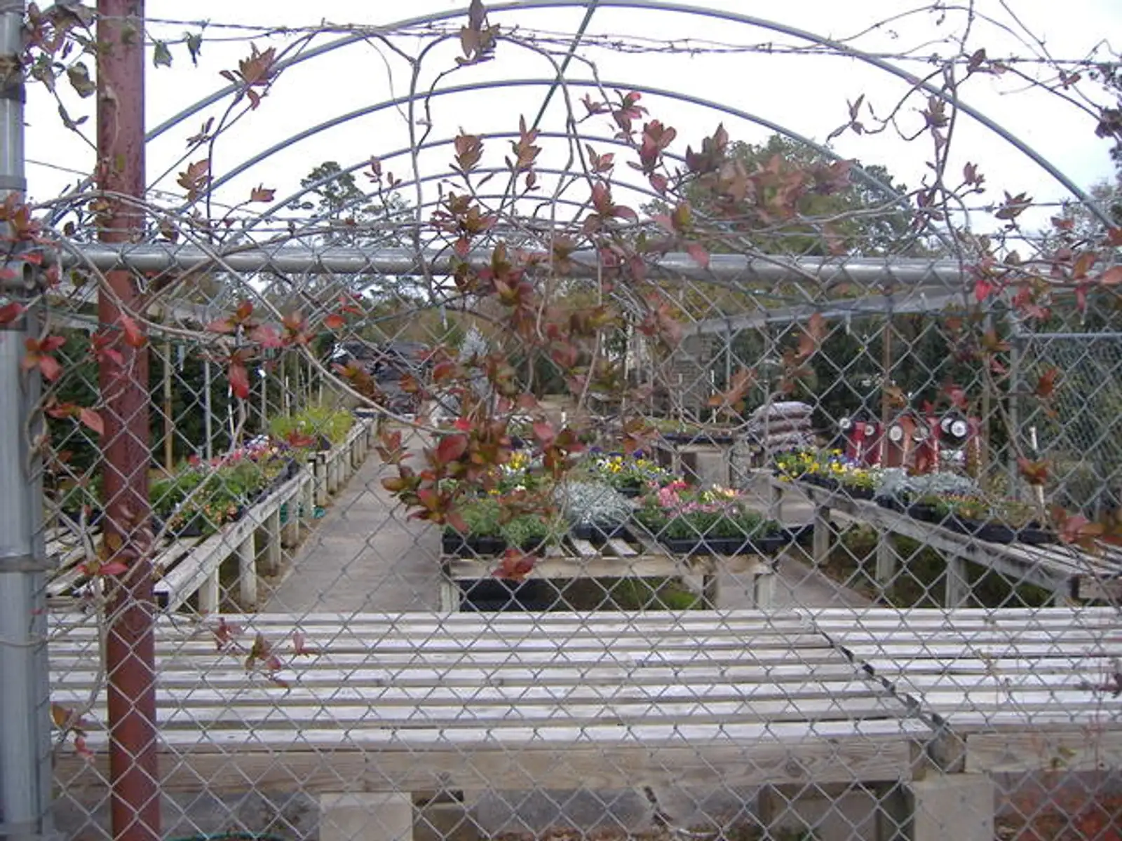 Improved / Secured Land - 2.84 AC image 3
