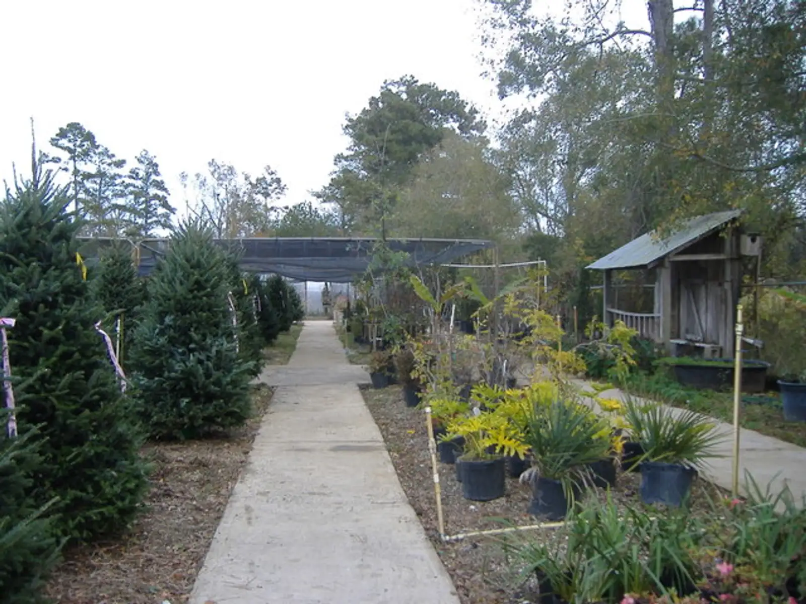 Improved / Secured Land - 2.84 AC image 12