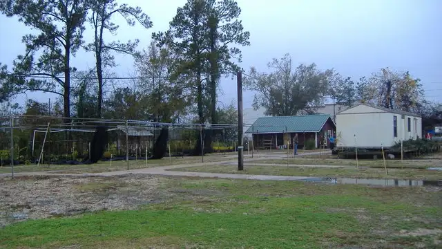 View image 19