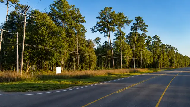 12.72 Acres with 2,600± FT of High-Visibility Hwy 59 Frontage thumbnail 5