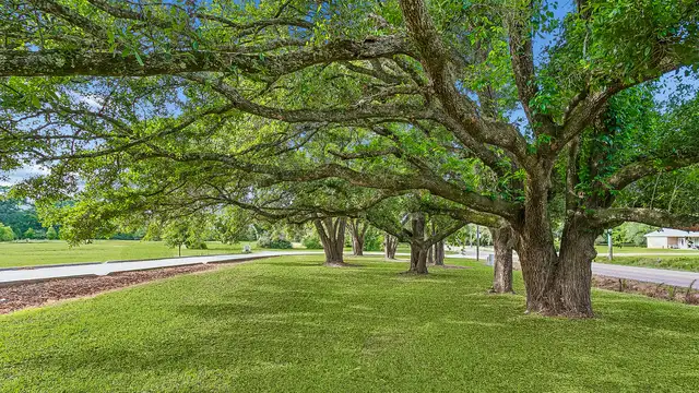 6.1 Acres Hwy 437 thumbnail 3