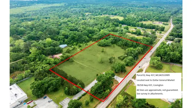 6.1 Acres Hwy 437 thumbnail 2