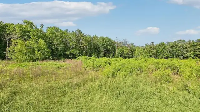 Walker South Rd thumbnail 4