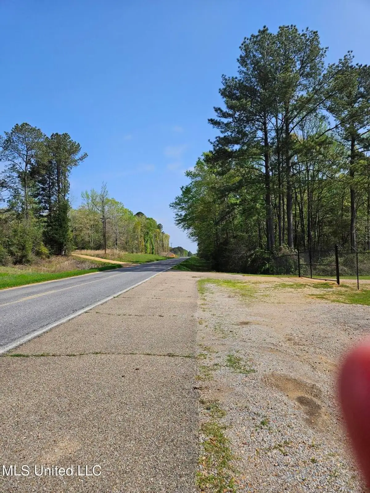 641.91 ac Tree Farm with creek running through image 8